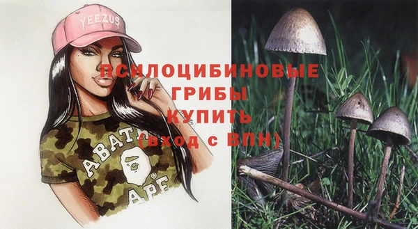 дживик Алексеевка