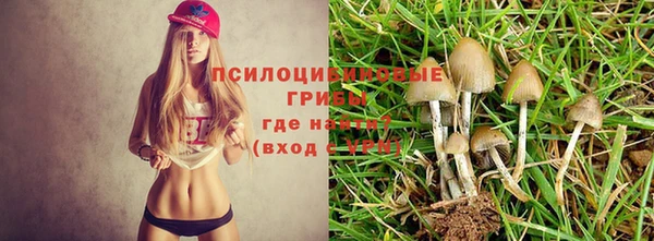 дживик Алексеевка