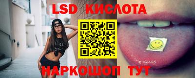 индика Кингисепп