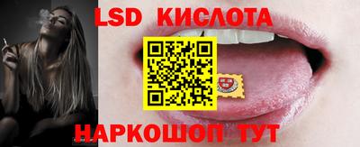 индика Кингисепп