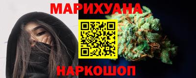 индика Кингисепп