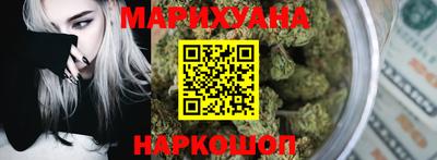 индика Кингисепп