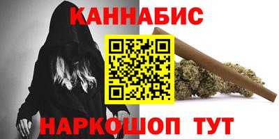 индика Кингисепп