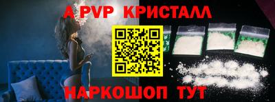индика Кингисепп