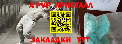 индика Кингисепп