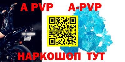 индика Кингисепп