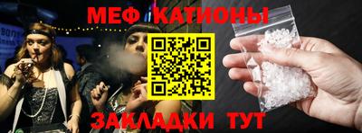 индика Кингисепп