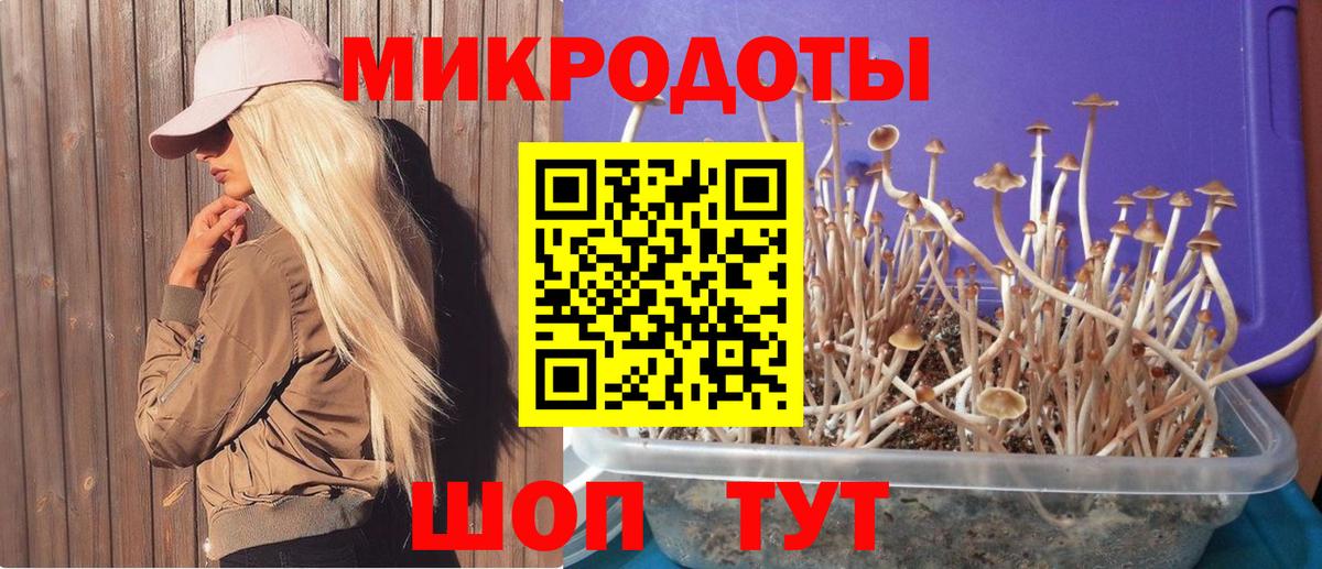 Галлюциногенные грибы Psilocybine cubensis  Вход с VPN  Крымск  Псилоцибиновые грибы мицелий 